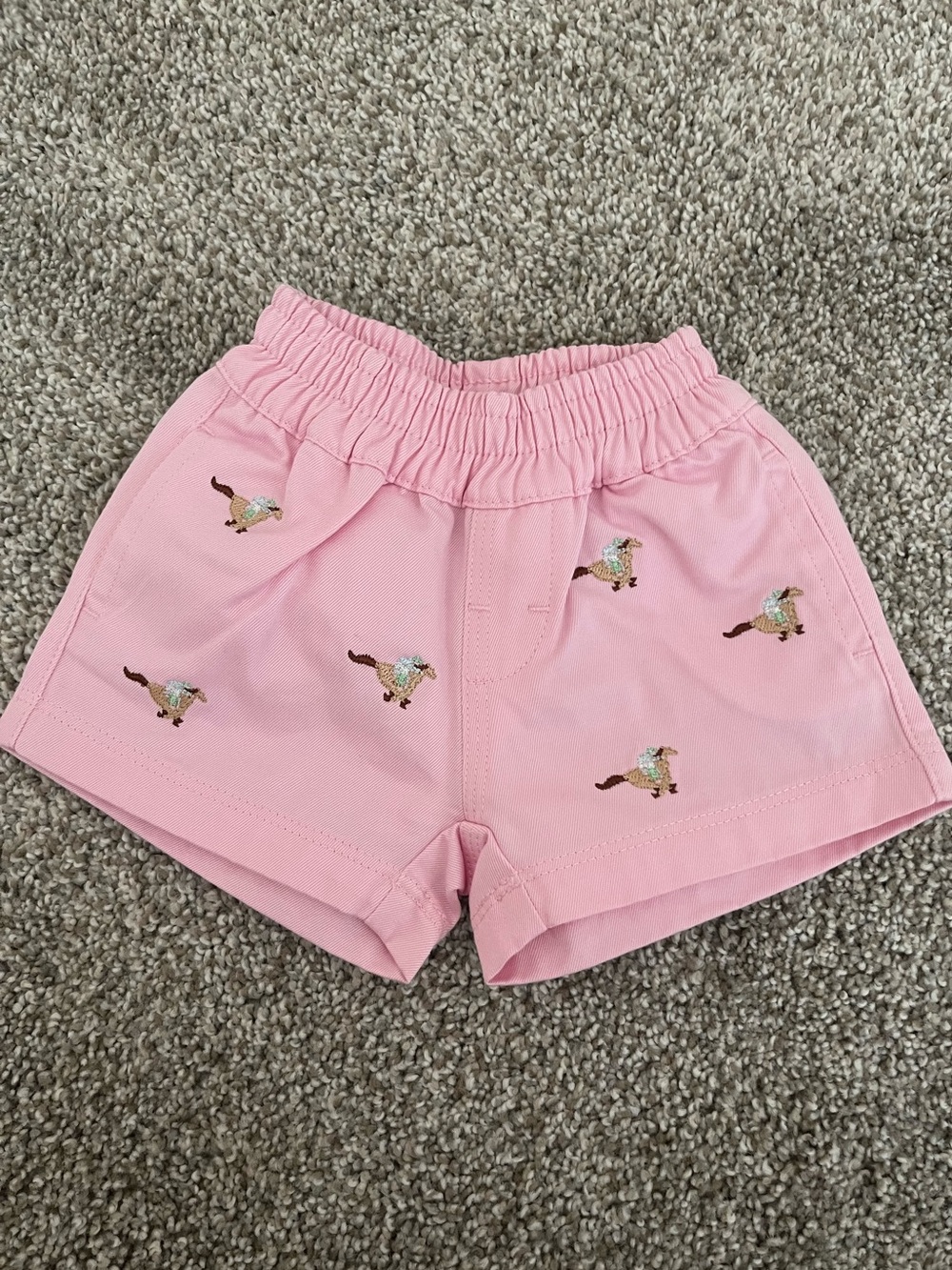 Beaufort Bonnet Company Shorts